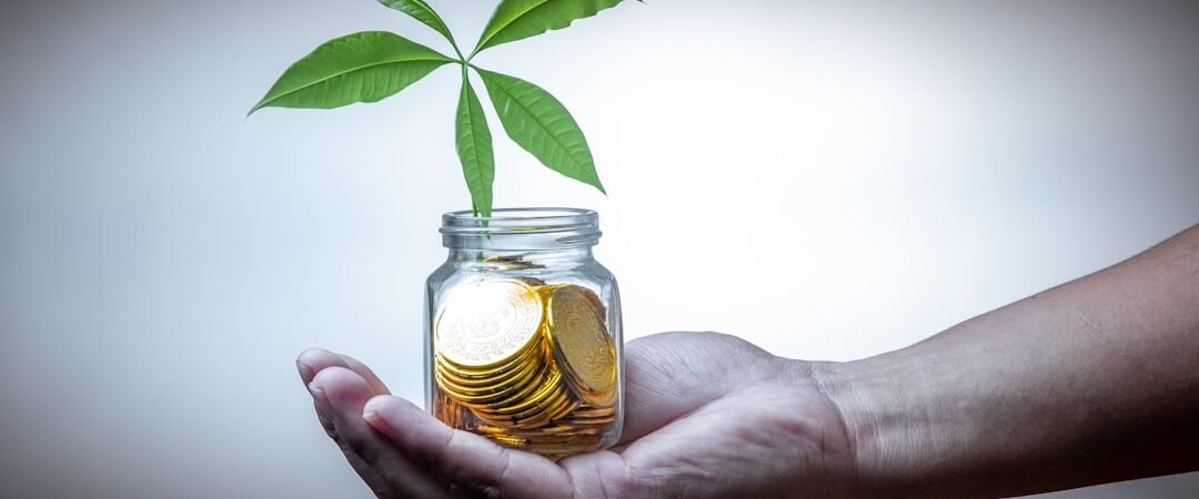 Dollar Cost Averaging: Two Different Things Wearing One Name